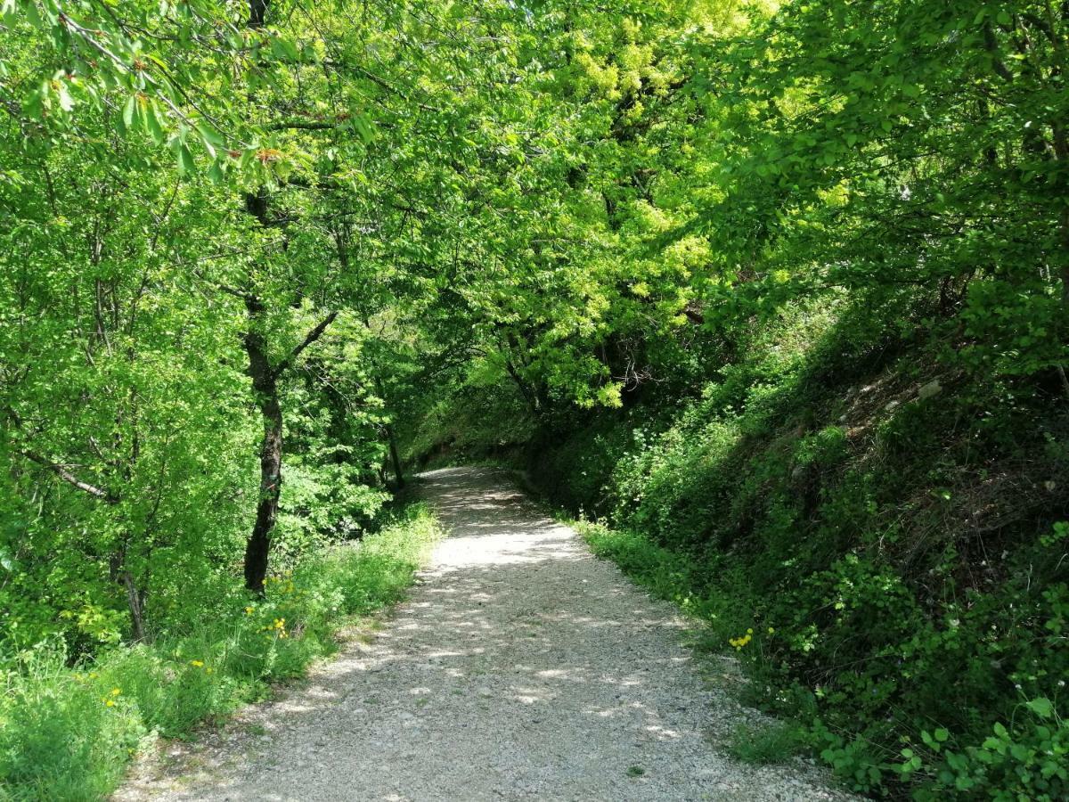 La Grande Chambre Saint-Jean-en-Royans Zewnętrze zdjęcie